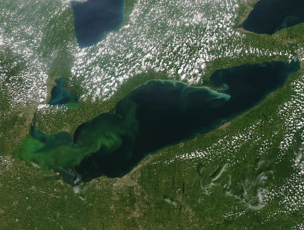 Lake Erie HABs MODIS Satellite July 2015