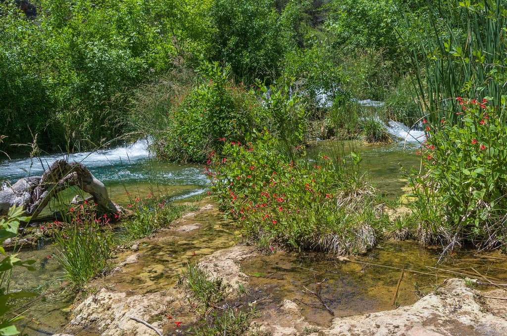 Waterfall Trail on Fossil Creek