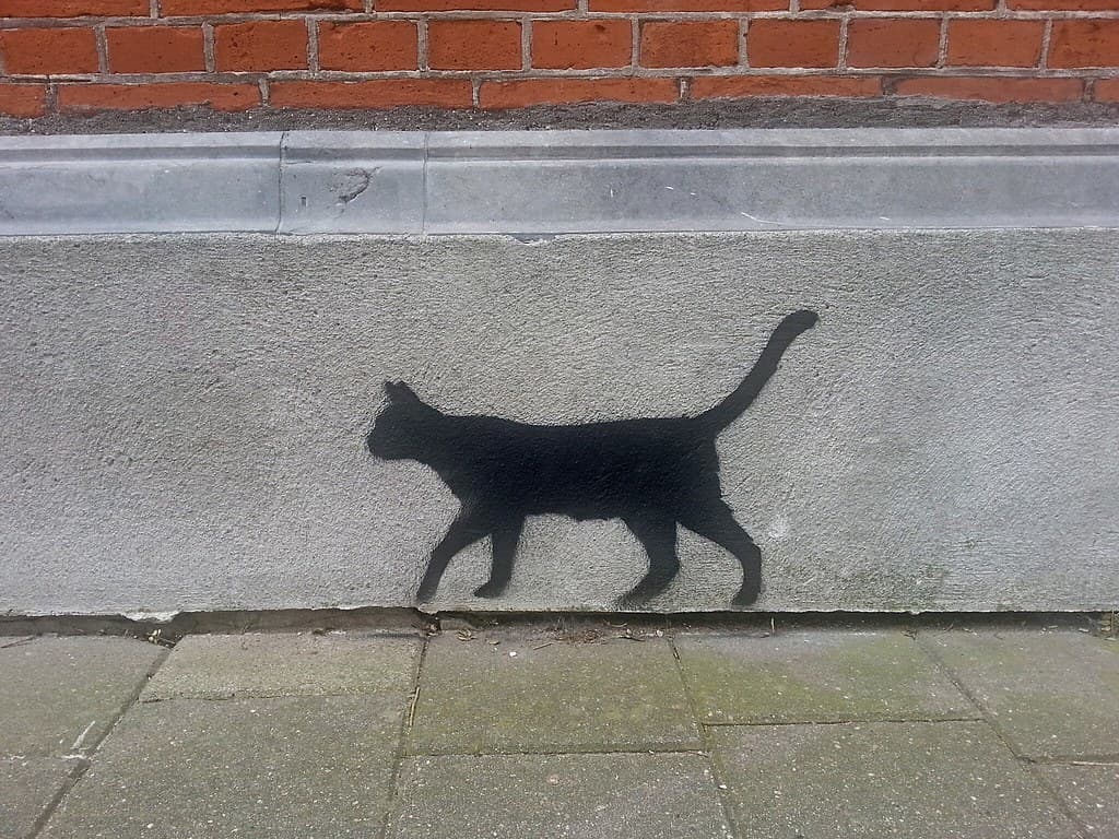 Amsterdamcity, animal, animals