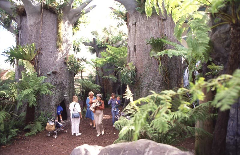 Expo 88 Forest