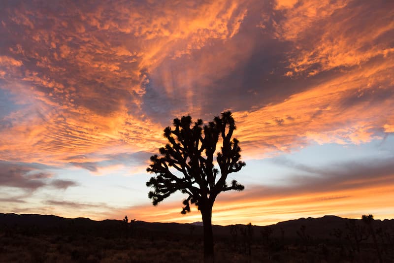 Sunset in Lost Horse Valley; 12/3/15