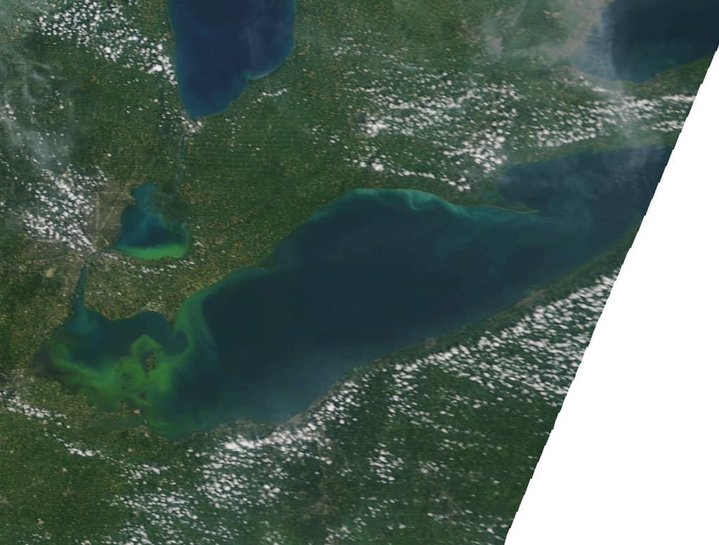Lake Erie HABs MODIS Satellite July 2015
