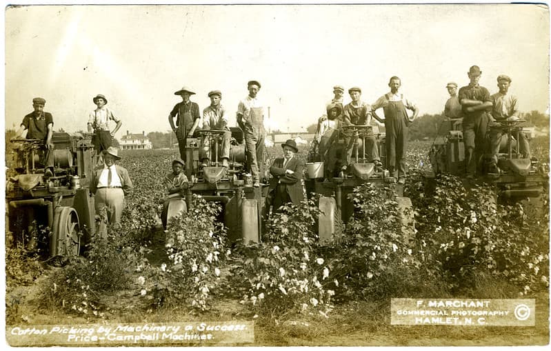 Cotton Picking by Machinery a Success. Price-Campbell Machines