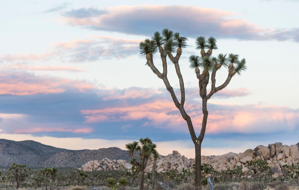 Sunset in Lost Horse Valley