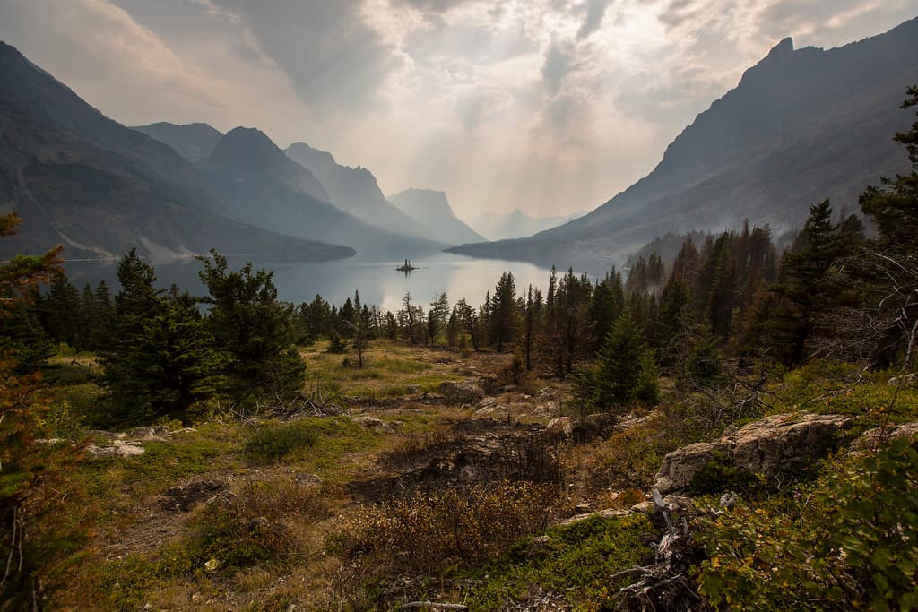 Hazy Wild Goose Island