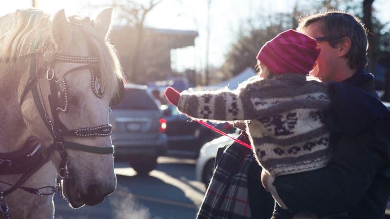 Girl Petting Horse
