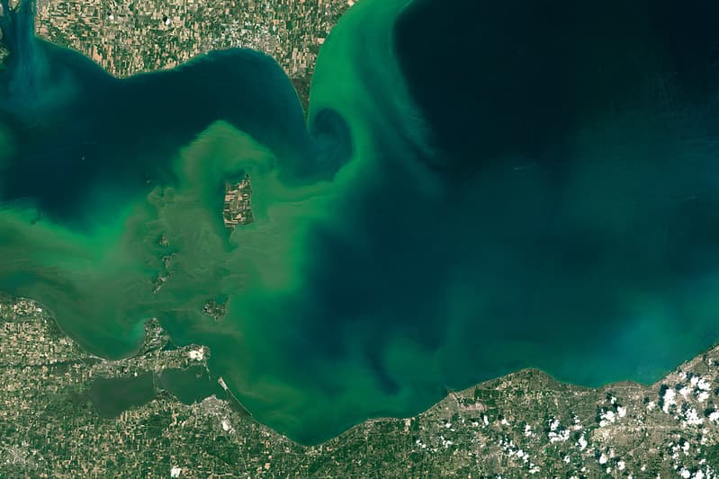 Lake Erie HABs MODIS Satellite July 2015