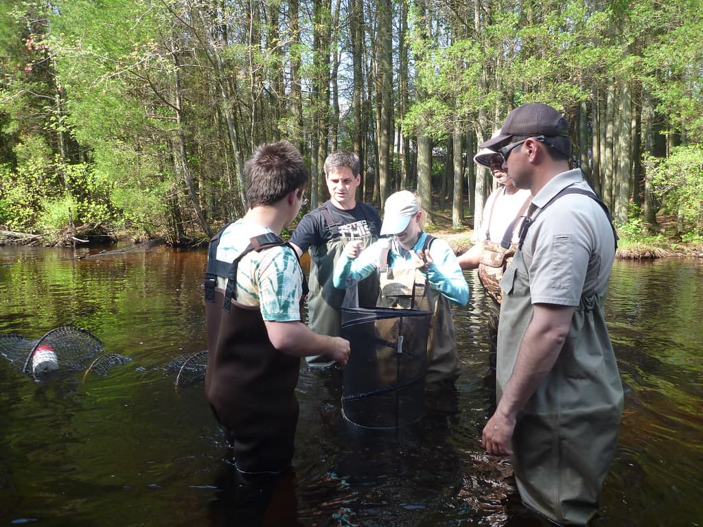 Fish monitoring of the Westecunk Creek barrier removal project