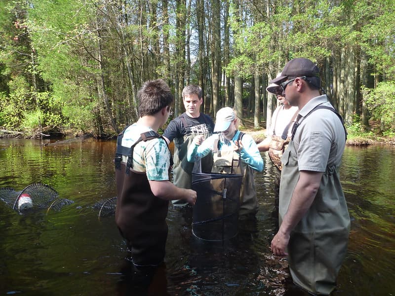 Fish monitoring of the Westecunk Creek barrier removal project