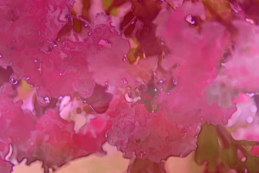 Abstract Crepe Myrtle (Free Texture)
