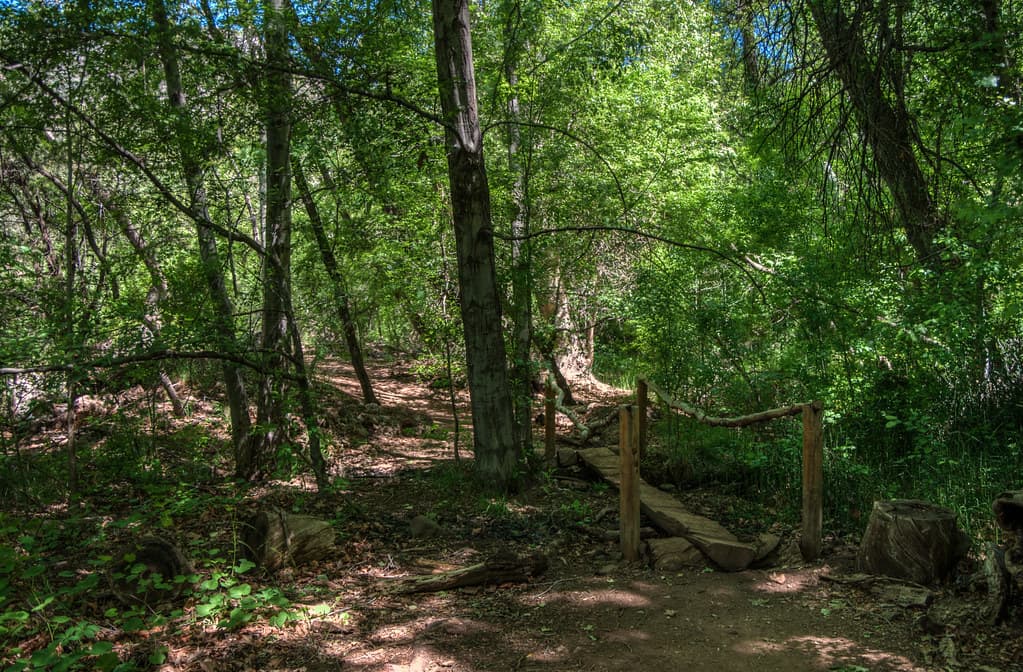 Waterfall Trail on Fossil Creek