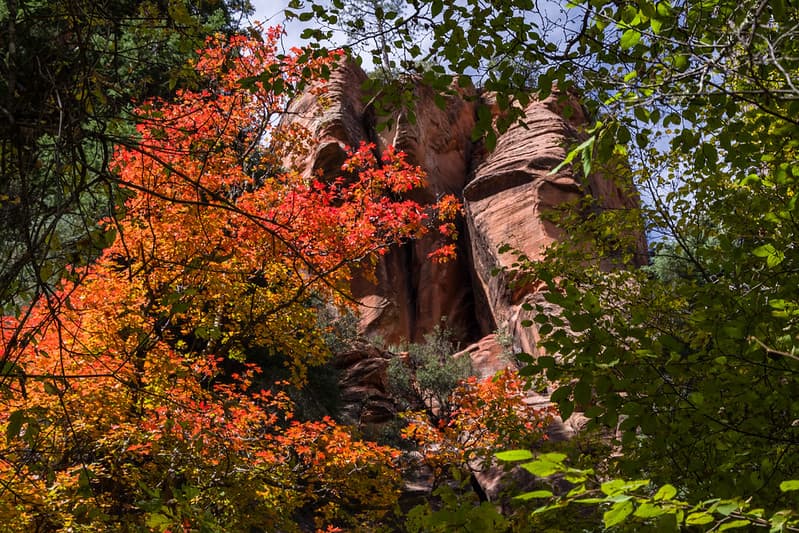 West Fork of Oak Creek Canyon No. 108