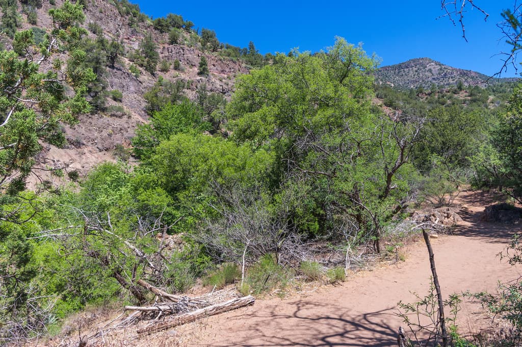 Waterfall Trail on Fossil Creek