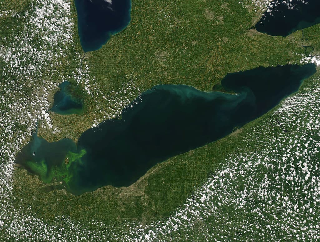 Lake Erie HABs MODIS Satellite July 2015