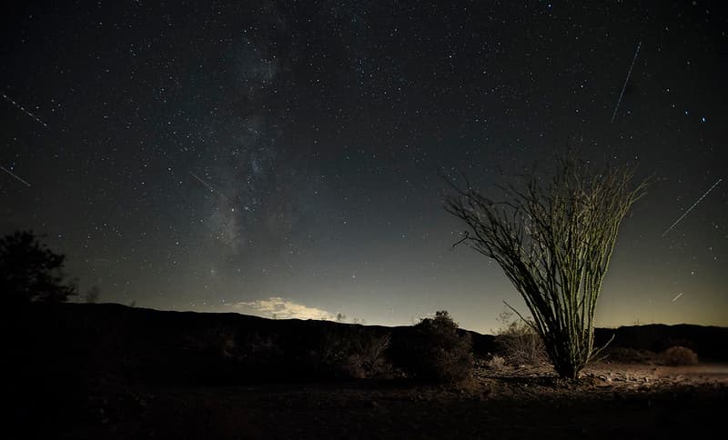 Ocotillo at night with plane and satellite streaks