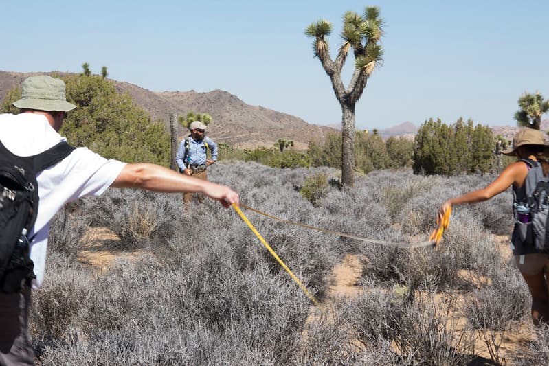 Citizen Science Climate Change & Vegetation Monitoring