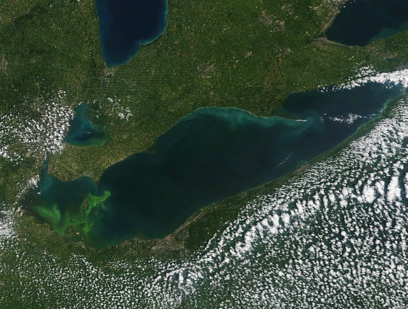 Lake Erie HABs MODIS Satellite July 2015