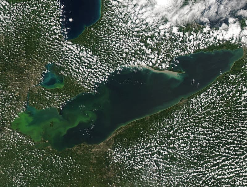 Lake Erie HABs MODIS Satellite July 2015
