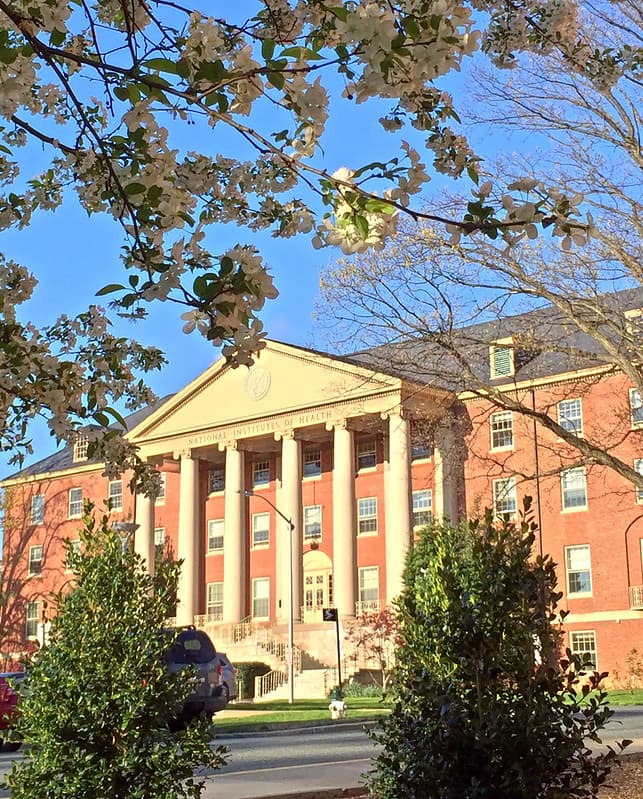 Building One, Spring 2016