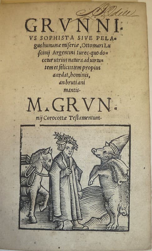Cultureclassbestiary, gclg, horses