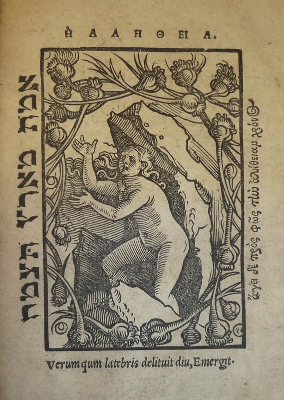 Woodcut printer's device of Johann Knobloch of Strasbourg