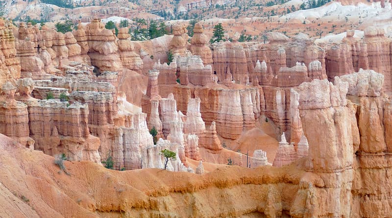 Hoodoos. Bryces Canyon Utah.
