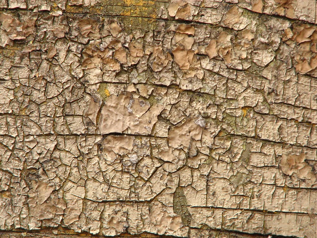 Old paint texture 1