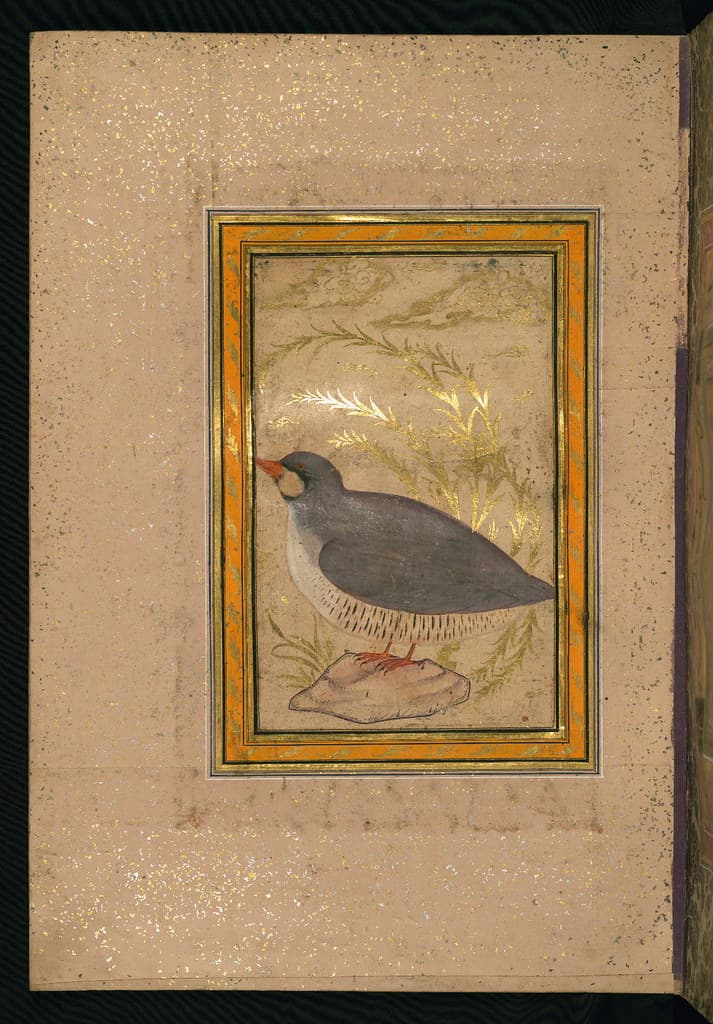 Thcentury, album, arabic