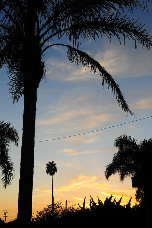 Ventura Beach House - ODR Trip