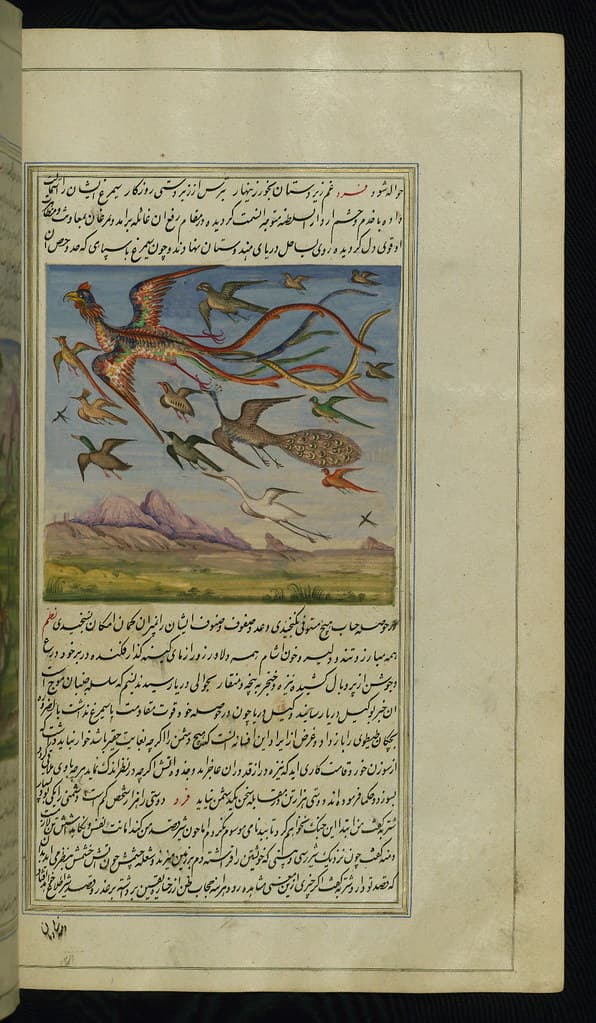 Book, illustration, iran
