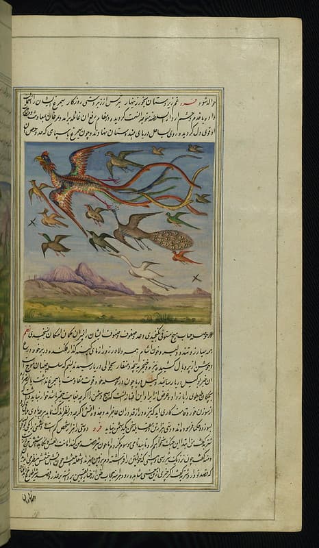 Book, illustration, iran