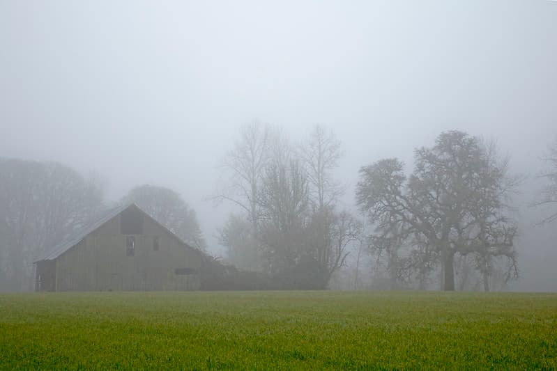 Old wood barn and trees in heavy fog in Oregon.