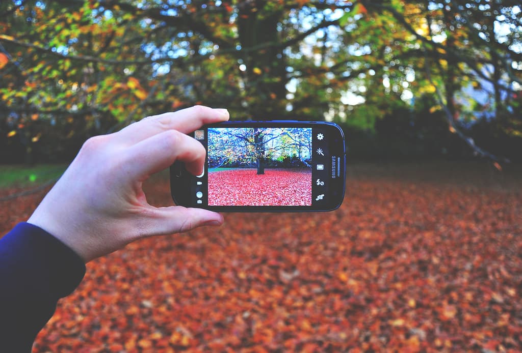 Using a Smartphone for Photography