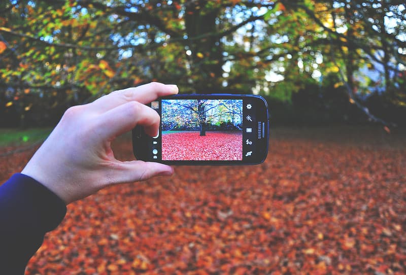 Using a Smartphone for Photography