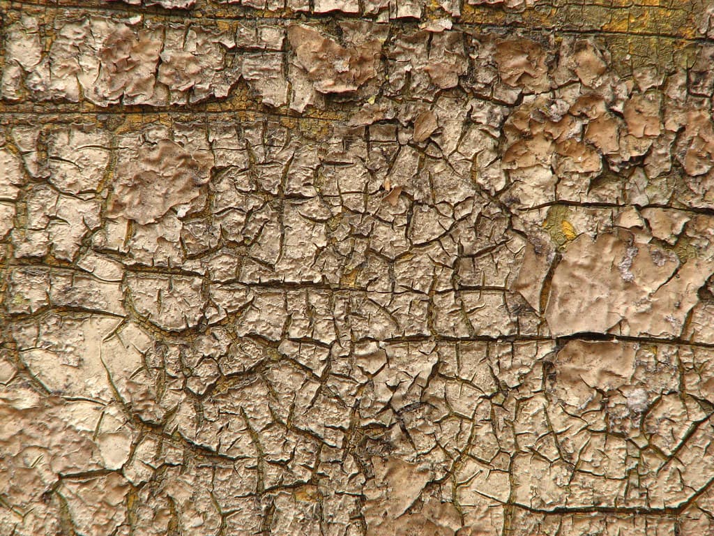 Old paint texture 2