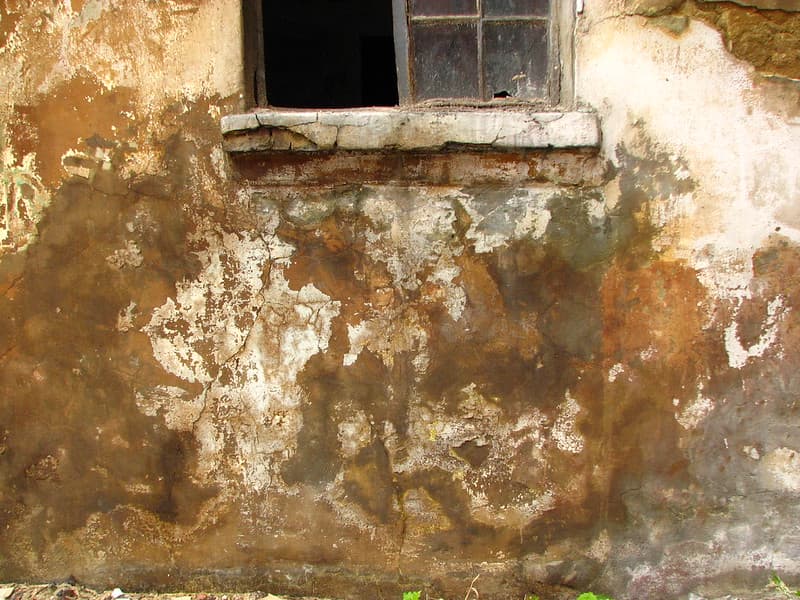 Plaster texture 3