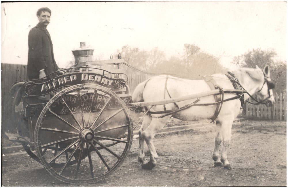 Cart, dairy, horse