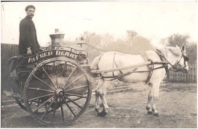 Cart, dairy, horse