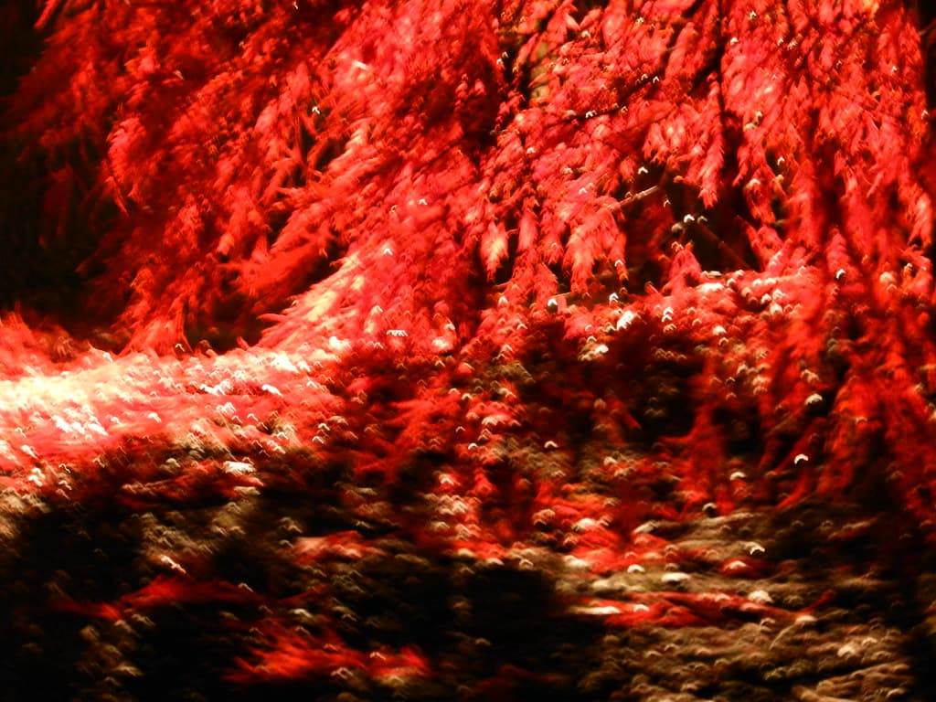 Abstract, intherain, seattle