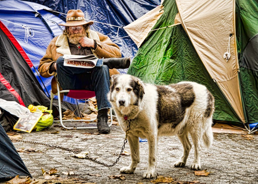 Protest Dog