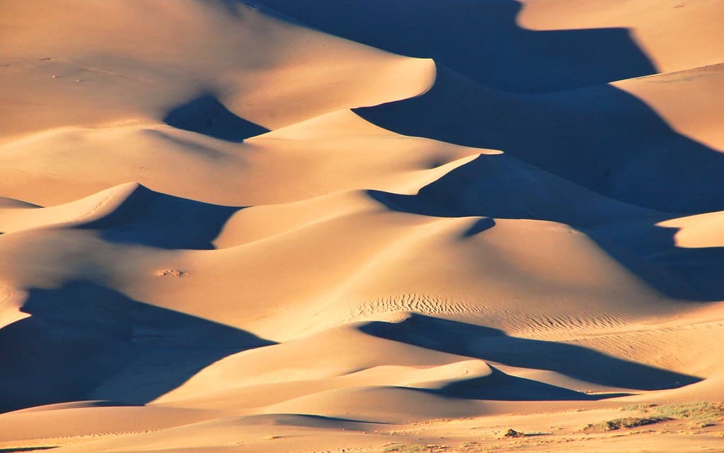 Shadow Patterns, Gold Dunes