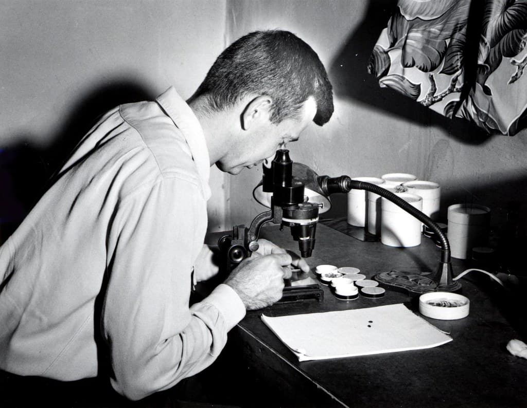 Binocularmicroscope, entomologist, fieldlaboratory