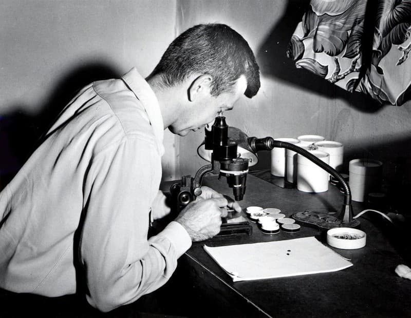 Binocularmicroscope, entomologist, fieldlaboratory
