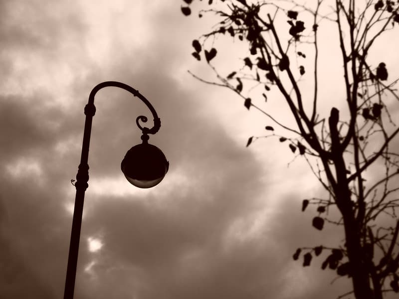 The lamp and the tree