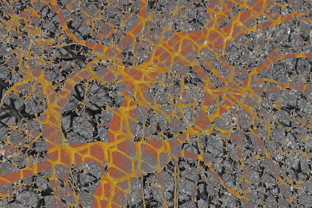 Free Texture