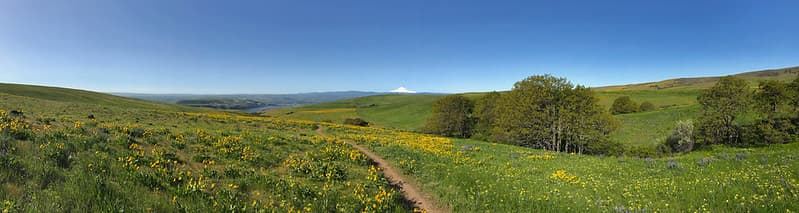Dalles Mountain Ranch at Columbia Hills SP in WA