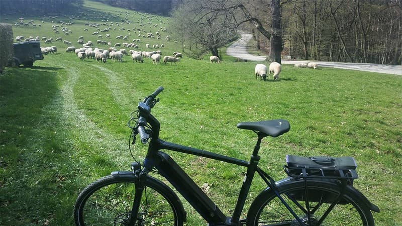Bicycle