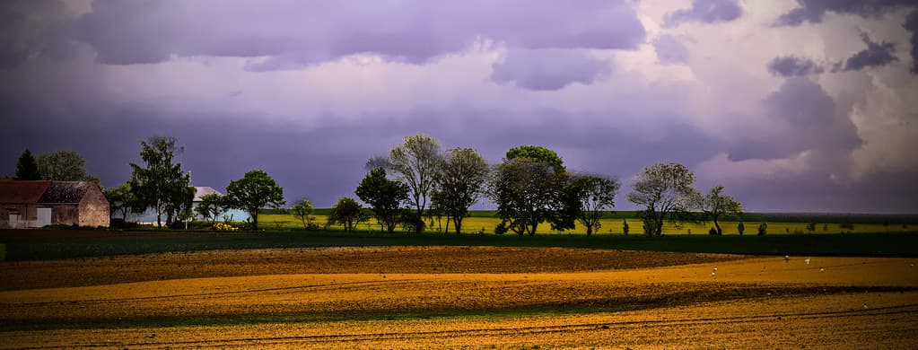 Barns and trees