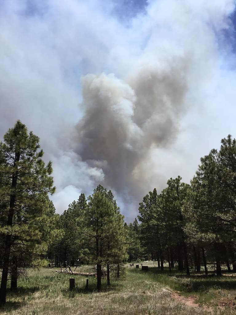 Sunflower Prescribed Fire 2019