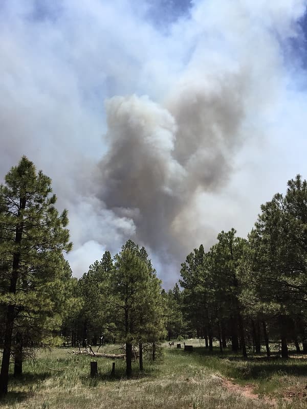 Sunflower Prescribed Fire 2019